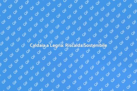 Caldaia a Legna: Scelta Sostenibile