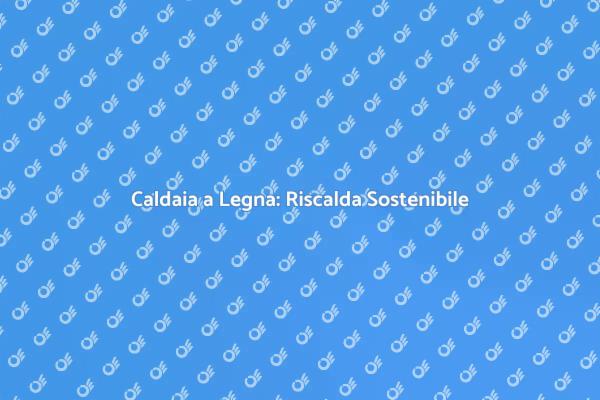Caldaia a Legna: Soluzione Efficiente
