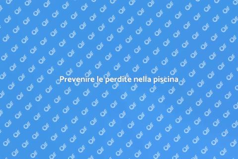 Ispezione professionale delle perdite