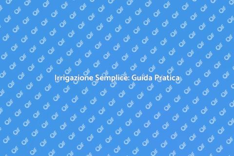 Sistema Irrigazione Facile e Veloce