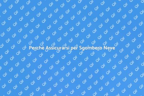 Assicurazione Sgombero Neve Necessaria
