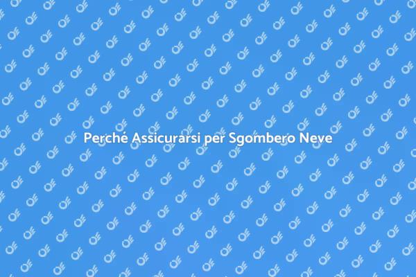 Sgombero Neve: Assicurati per Sicurezza