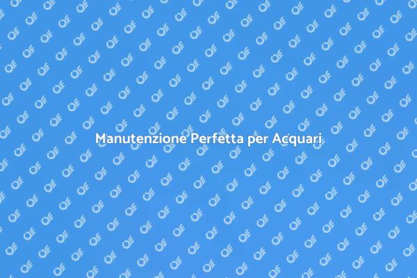 Creare un Acquario Sano e Bello
