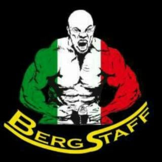 BERGSTAFF SRL - Foto 1