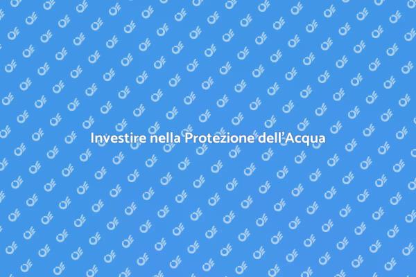 Sicurezza e Qualità dell'Acqua Domestica