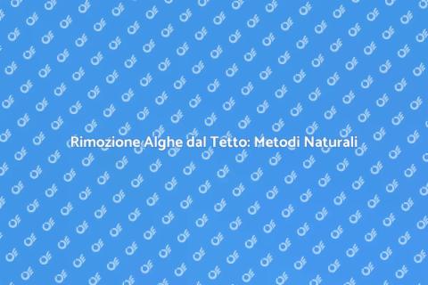 Pulire il Tetto con Alghe: Guida Pratica
