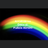 Impresa di pulizie individuale