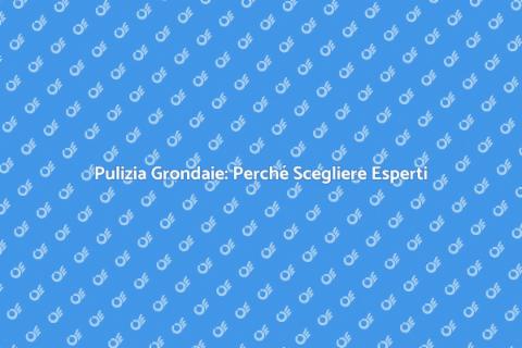 Pulizia Grondaie: Servizio Professionale