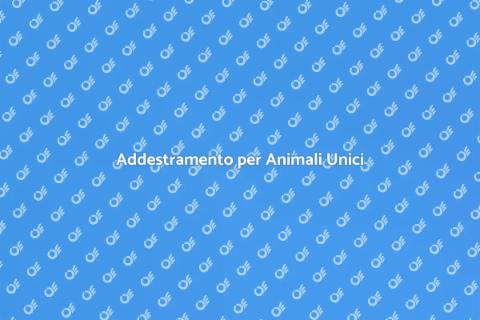 Allenare Animali Domestici Unici