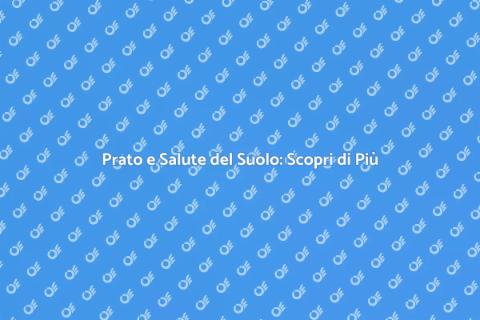 Il Prato che Arricchisce il Suolo