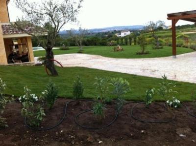 D. & S. Giardini  - Foto 7