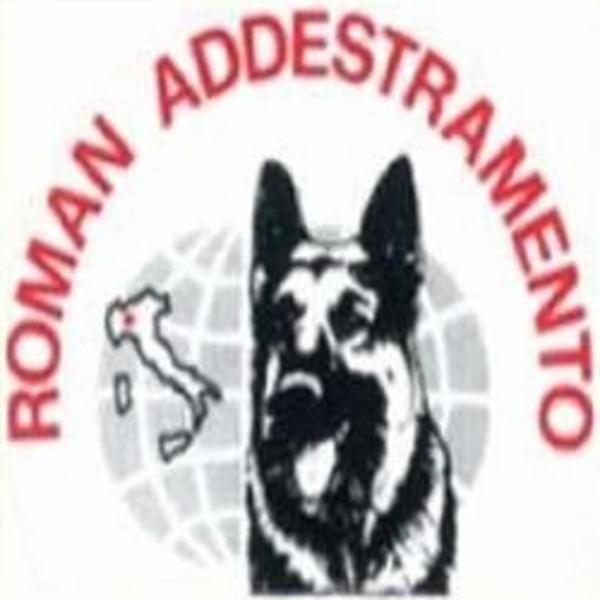 Scuola di Addestramento Roman Sas  - Foto 1