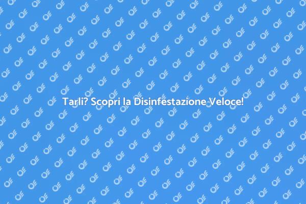 Disinfestazione Tarli: Soluzioni Veloci