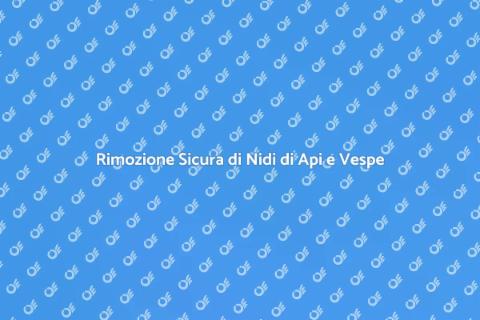 Rimuovere Nido di Api o Vespe in Sicurezza