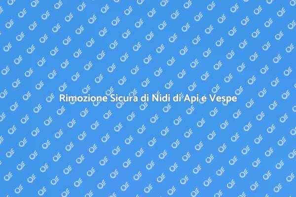 Rimozione Professionale di Api e Vespe