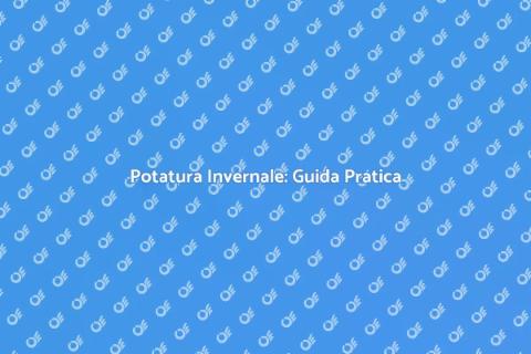 Potatura Invernale: Cura del Giardino