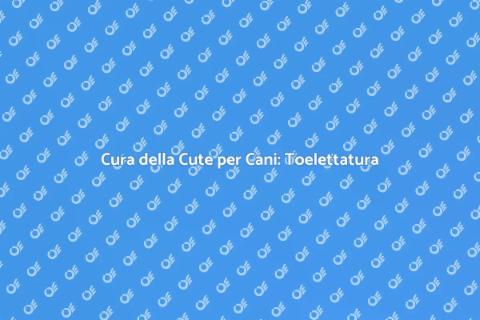 Toelettatura Cani con Problemi di Cute