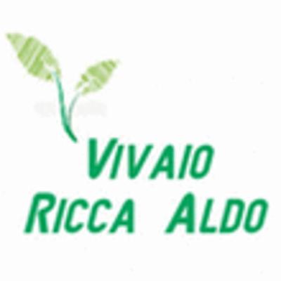 Aldo Ricca  - Foto 1