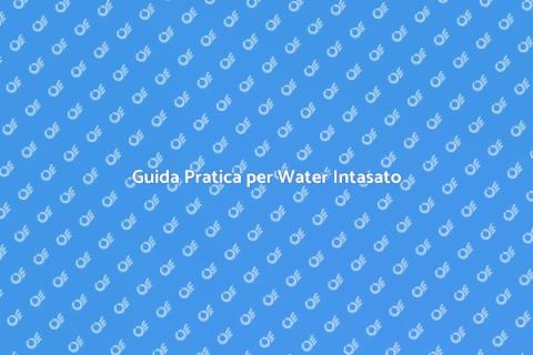 Risolvere il Problema del Water Intasato