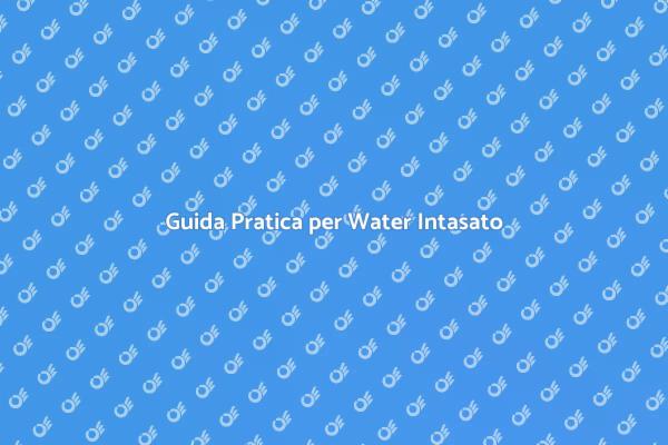 Come Risolvere il Water Intasato