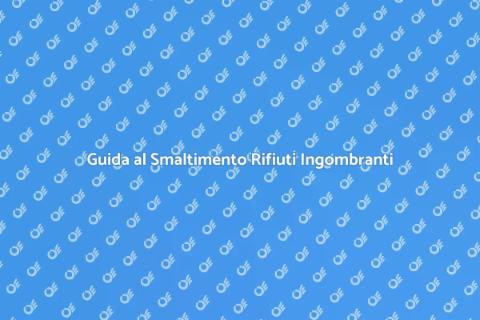 Smaltire Rifiuti Ingombranti Facile
