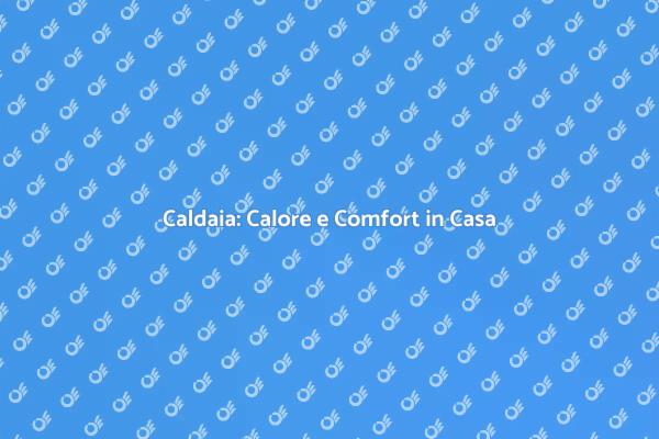 Caldaia: Il Cuore Caldo della Tua Casa