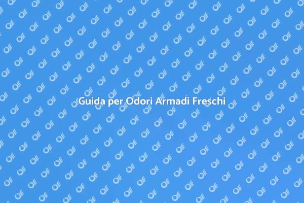 Come Rinfrescare gli Armadi Sgradevoli