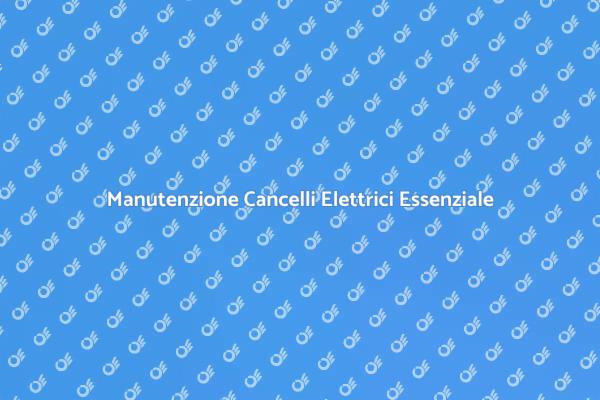 Servizi di Riparazione Cancelli Elettrici