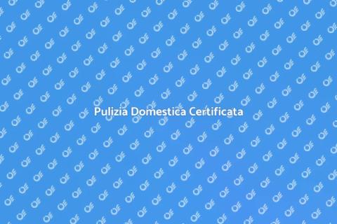 Servizio di Pulizia Professionale