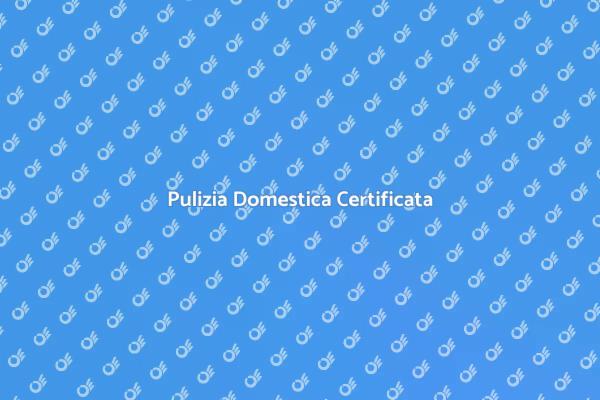Pulizia Eccellente per la Tua Casa