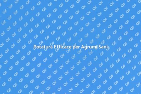 Potatura Agrumi: Guida Essenziale