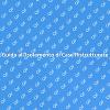 Isolamento Efficace per Case Ristrutturate