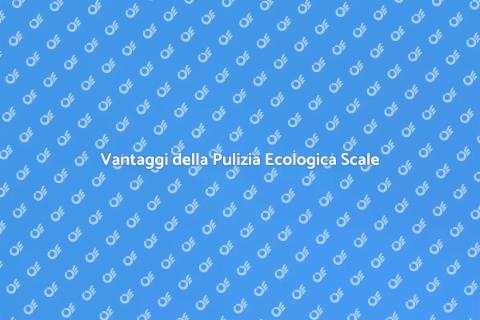 Pulizia Ecologica Scale Condominio