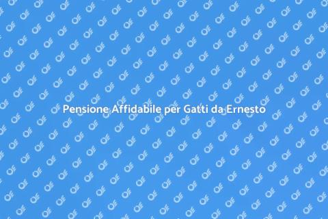 Pensione Sicura per Gatti a Ernesto.it