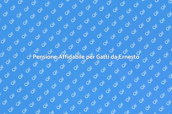 La Migliore Pensione per Gatti