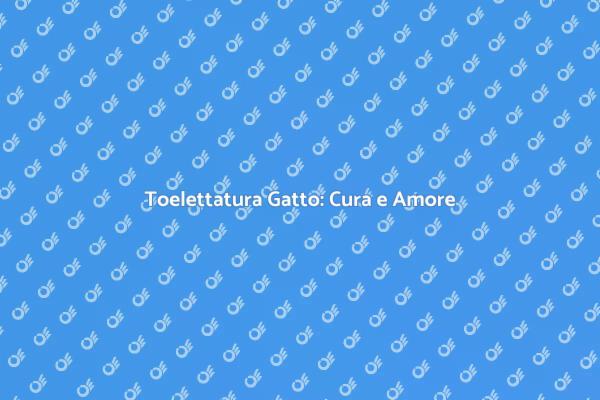 Toelettatura Gatto: Salute e Felicità
