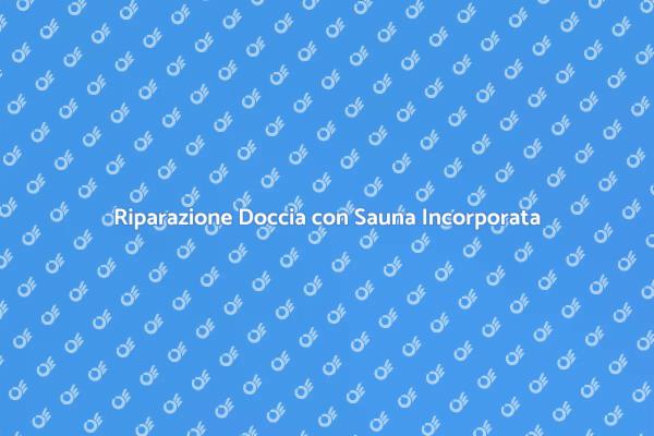 Riparazione della Doccia con Sauna