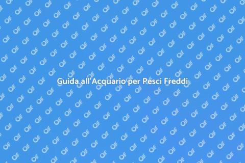 Acquario per Pesci d’Acqua Fredda