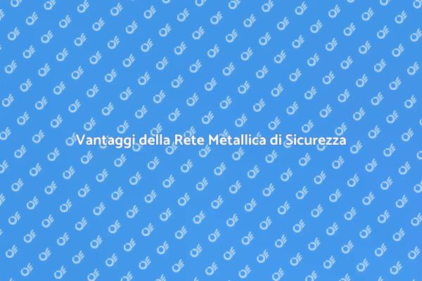 Sicurezza con la Rete Metallica: Scopri di Più