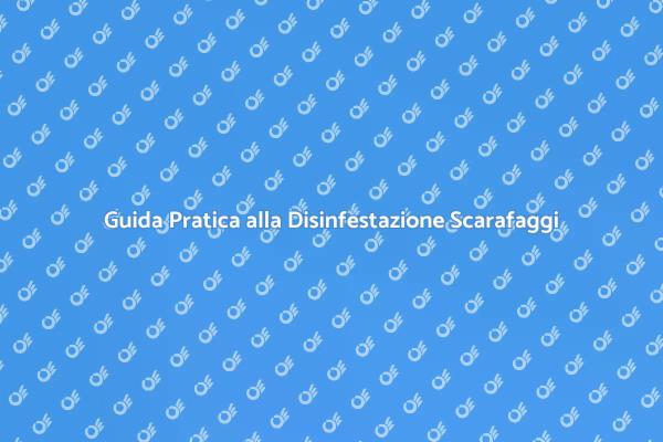 Liberati dai Scarafaggi Oggi Stesso