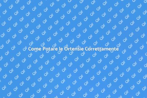 Potatura Ortensie: Guida Essenziale