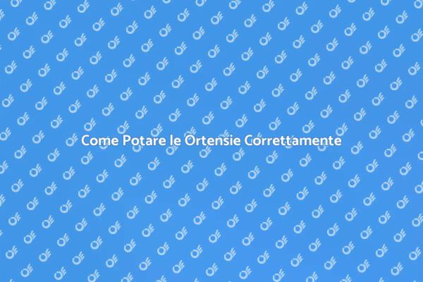 Guida alla Potatura delle Ortensie