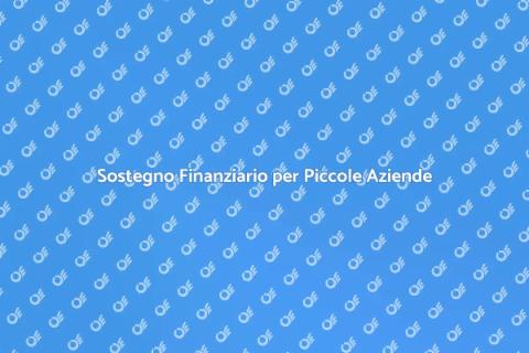 Consulenza Finanziaria per Piccole Imprese