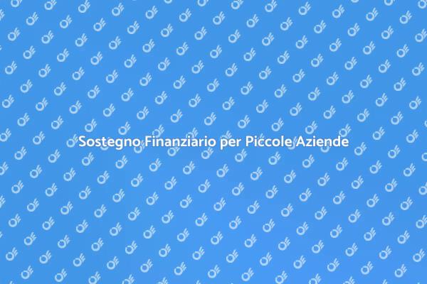 Potenzia la Tua Piccola Impresa Ora