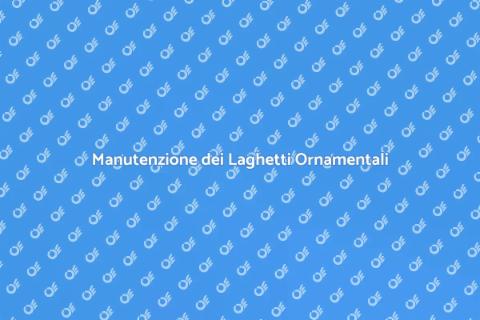 Pulizia e Manutenzione Laghetti