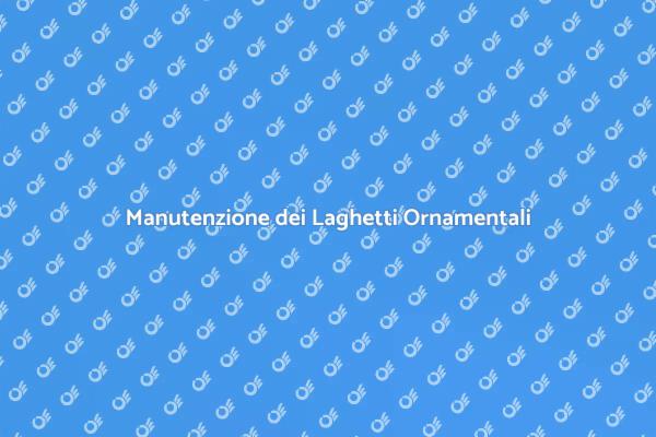 Manutenzione Efficace per Laghetti