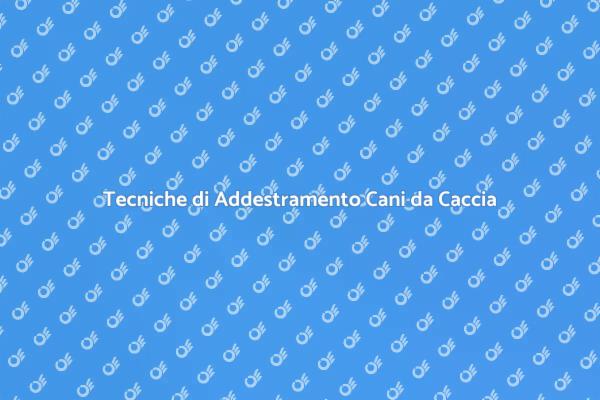 Addestra il Tuo Cane da Caccia con Successo