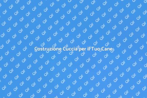 Cuccia per il Cane: Guida Pratica