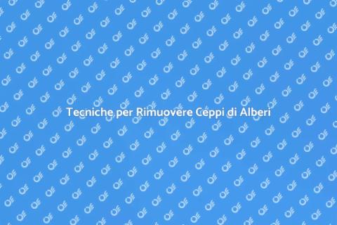 Rimozione Ceppo di un Albero Efficace