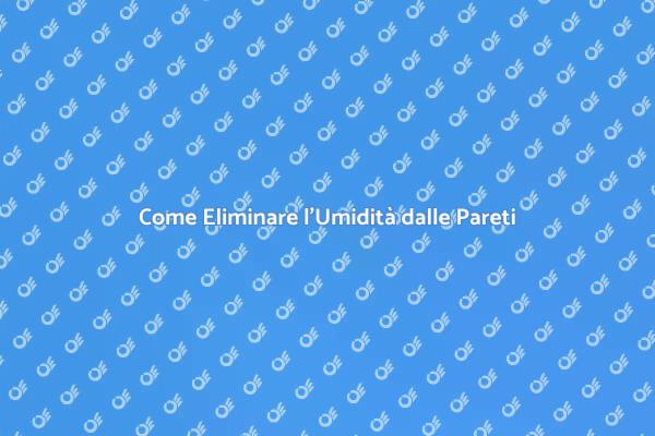 Affronta l'Umidità nelle Pareti